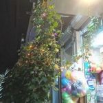هایپر مارکت شقایق