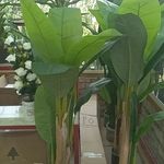 گل و درخت مصنوعی و تابلو جعفرنژاد