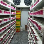 لبنیات زارعی