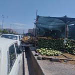 سبزی خردکنی ماهان