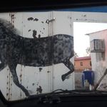 باشگاه سوارکاری حنا