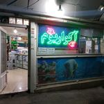 اکواریوم ستاره خلیج