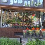 گلفروشی گل آووکادو