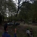 پارک جنگلی پروز