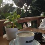 کافه بائولند