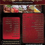 کباب سنتی افق بناب