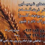 خشکبار برادران تاجیک