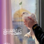 هتل پنج ستاره مجلل درویشی