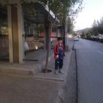 ایستگاه اتوبوس گلدیس 11