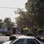 نان عترت