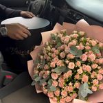 پت شاپ قلعه حیوانات
