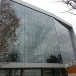 دایا وین