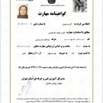 رنگ و لایت تخصصی آزاده