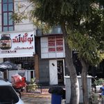 دکتر مسعود موحدی