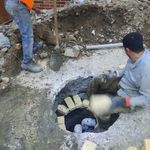 محمدرضا ترکاشوند