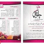 تهیه غذا چلوچی