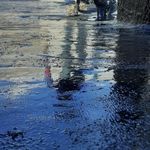 رضا احمدی