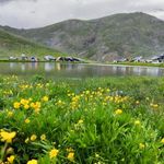دریاچه گل یوردی بزقوش