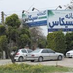 گلخانه سیکاس