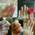 نمایندگی اصلی اوریفلیم