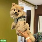 .كلينيك دامپزشكي پاستور تهران