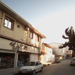 شیرینی صدف
