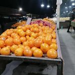 میوه تره بار آبی