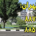 لوله بازکنی ونک_بهمن