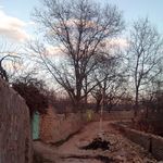 روستای فشند