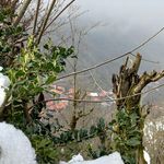 هتل چوبی مهیار