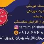 ترمیم شیشه اتومبیل دانا