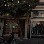 قصابی سید
