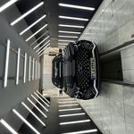 تشخیص رنگ سردار