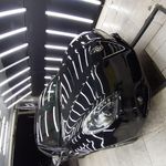 تشخیص رنگ سردار