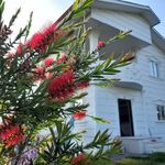 ویلا کاخ سفید