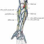 فرشتگان احیاء سلامت پاسارگاد