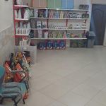 کلینیک دامپزشکی ستاره ری