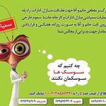 شرکت نشاط آوران پاکی