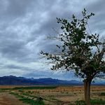 سالن فرهنگی ورزشی شهداء یزدل