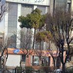 بیمه معلم 