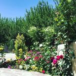 دهکده گردشگری و تفریحی سرو