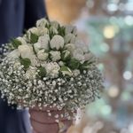 آتلیه برند عروس