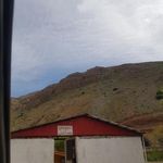 سرویس بهداشتی عمومی