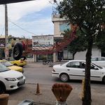 مرغ و ماهی برادران بابائی