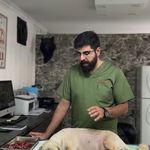 کلینیک دامپزشکی جزیره حیوانات