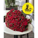 گل فروشی اینترنتی آمازون (سعادت آباد)