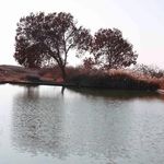 اکو کمپ کویری متین آباد