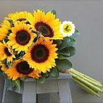 گل فروشی اینترنتی آمازون (سعادت آباد)