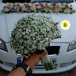 گل فروشی اینترنتی آمازون (سعادت آباد)