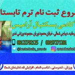 مدرسه بسکتبال آرامیس